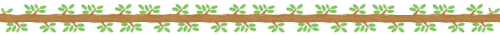 Signature image_UltraDebug